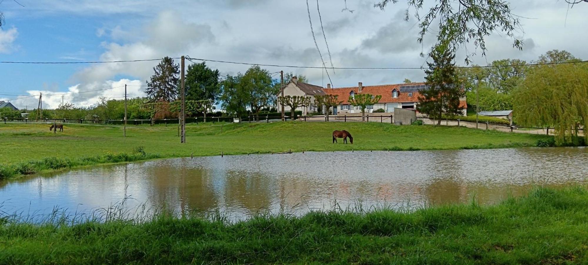 Hotel La Ferme Des Bigornes Châtillon-sur-Indre Esterno foto