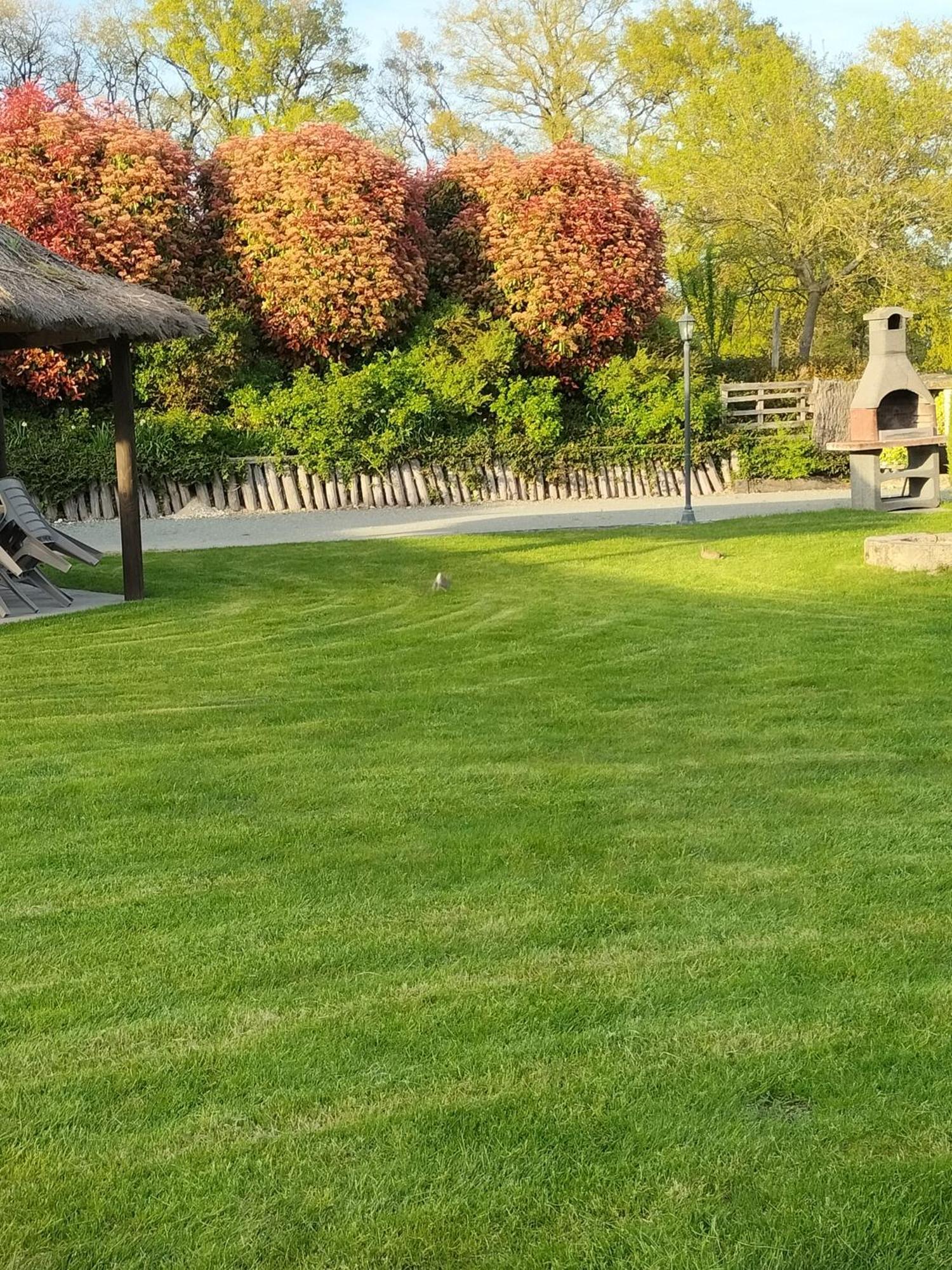 Hotel La Ferme Des Bigornes Châtillon-sur-Indre Esterno foto
